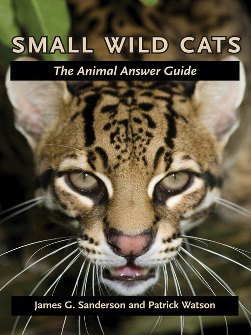 Title details for Small Wild Cats by James G. Sanderson - Wait list